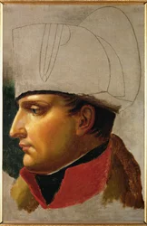 Emperador Napoleón I (óleo sobre lienzo)