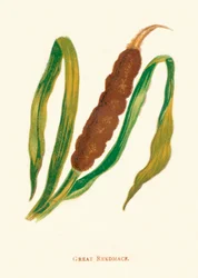 Espadaña mayor, c. 1891, 1891