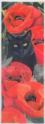Gato Negro con Amapolas