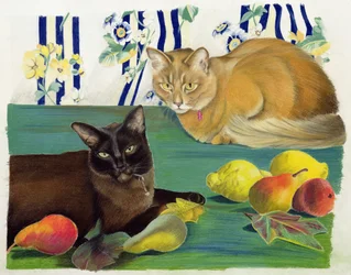 Gatos con fruta