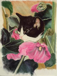 Gatito y malvarrosas