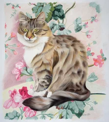 Gato atigrado de pelo largo