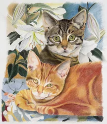 Pimienta y Sal