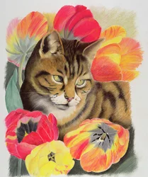 Atigrado y tulipán