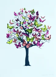 Mariposa en Flor, 2016