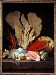 Panaches marinos. Naturaleza muerta con conchas. Pintura de Anne Vallayer Coster (1744-1818) 1769