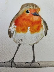 Un petirrojo muy bonito pintado en acuarela