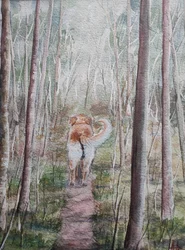 Paseo por el bosque con el perro