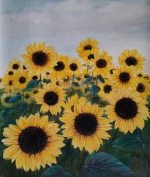 Un campo de girasoles lleno de color