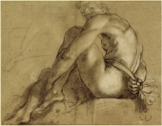 Desnudo Sentado