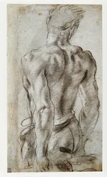 Estudio de una figura masculina ...