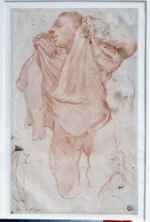 Joven quitándose la camisa. Dibujo a la sanguina de Annibale Carracci, llamado el Carrache