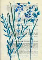 Flores azules: texto antiguo