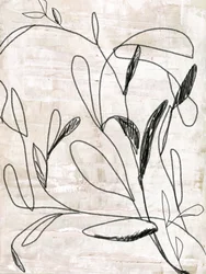 Dibujo botánico a trazo