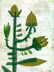 Botánica moderna y ecológica