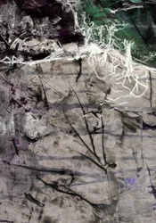 Abstracción de ramas orgánicas