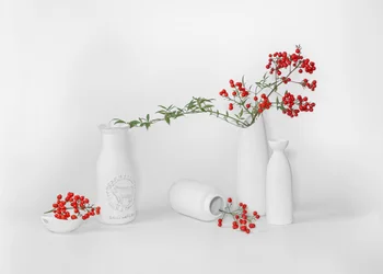 Exposición minimalista de frutos rojos