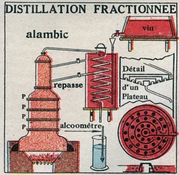 Cambios de estado: vapores. Destilación fraccionada del vino. Ilustración anónima de 1925. Colección privada