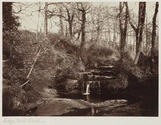 Edge Park, Cheshire, c.1865 (impresión a la albúmina a partir de negativo de cristal)