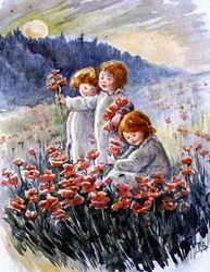 Recogiendo amapolas