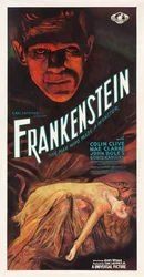 Cartel de la película "Frankenstein"
