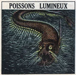 Fosforescencia: pez luminoso. Ilustración anónima de 1925. Colección privada.