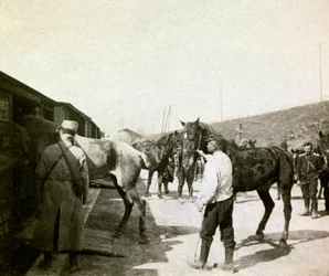 Fotografía de un álbum personal de un teniente de infantería durante los primeros meses de la Primera Guerra Mundial