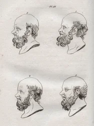 Fisionomía - Fisionomía - Varios cabezas del filósofo griego Sócrates (ca. 469 a.C.-399 a.C.) (Busto de Sócrates (ca 469 a.C.-399 a.C.), filósofo ateniense) grabado de 1808 en “El arte de conocer a los hombres a través de la fisionomía” por Johann Gaspar (