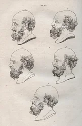 Fisionomía - Fisionomía - Varias cabezas del filósofo griego Sócrates (ca. 469 a.C.-399 a.C.) (Busto de Sócrates (ca 469 a.C.-399 a.C.), filósofo ateniense) grabado de 1808 en “El arte de conocer a los hombres a través de la fisionomía” por Johann Gaspar (