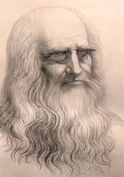 Retrato de Leonardo da Vinci (Leonard de Vinci) (1452-1519) a partir de su autorretrato