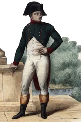 Retrato de Napoleón Bonaparte (1768-1821) como Primer Cónsul. Ilustración de "Le Plutarque Français" por Edmond Mennechet