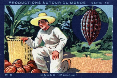 Producciones alrededor del mundo: Cacao en México. Cromolitografía de 1933 en “Álbum Joseph-Milliat”
