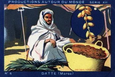 Producciones alrededor del mundo: dátiles en Marruecos. Cromolitografía de 1933 en el "Álbum Joseph-Milliat".