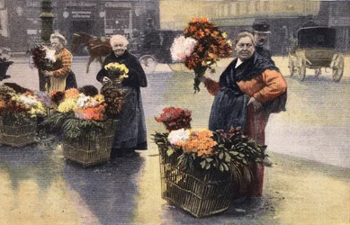 La fiesta del crisantemo: comerciante de crisantemos en la calle. Grabado. Uno de los periódicos “Le petit parisien” del 20/11/1910. Colección privada.