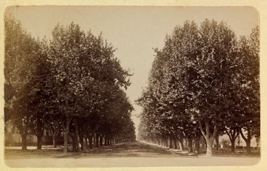 La ciudad de Marsella y sus alrededores alrededor de 1885-1890: el Prado, Colección privada
