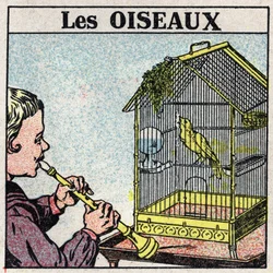 Los efectos de la música: el sonido de una flauta hace cantar a un pájaro en una jaula. Ilustración anónima de 1925. Colección privada.