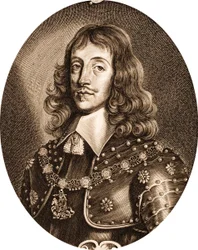 Anselmus-van-Hulle-Men-illustres (recortado)