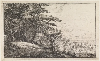 La entrada de un bosque