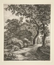 Los dos viajeros descansando en el bosque.