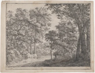 Los bosques recortados