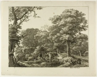 El caminante descansa en el bosque