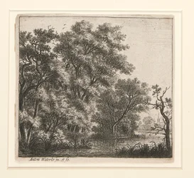 la isla boscosa