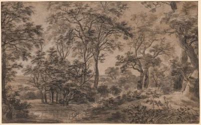 paisaje boscoso