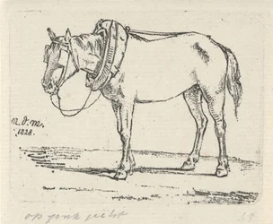 caballo inventado