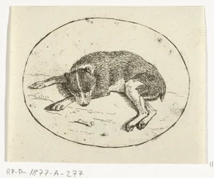 perro mentiroso