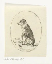 perro sentado
