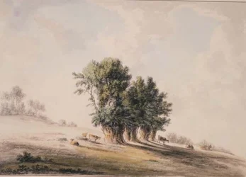 Paisaje