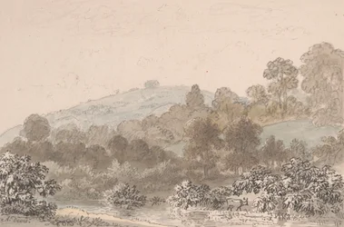 Paisaje con arroyo en primer plano