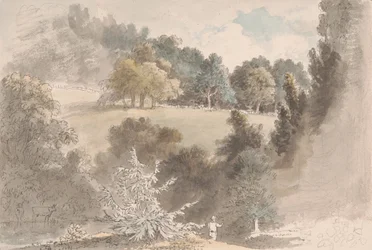 Paisaje con árboles