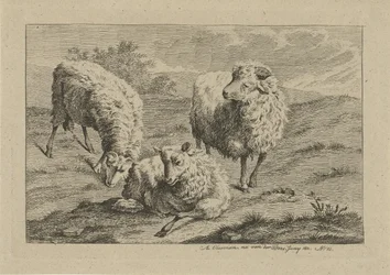 tres ovejas Estudios de vacas, ovejas y cabras (título de la serie)